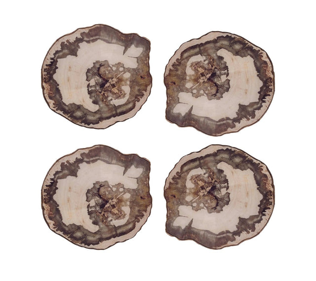 Petrified Wood Coaster in Multi, Set of 4 in a Gift Box by Kim Seybert at Fig Linens and Home