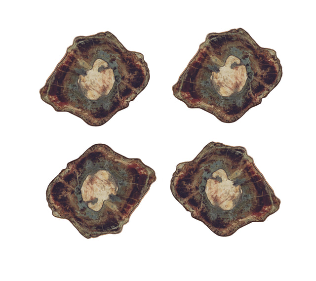 Fossil Coaster in Multi, Set of 4 in a Gift Box by Kim Seybert at Fig Linens and Home