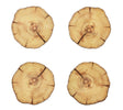 Woodland Coaster in Natural & Brown, Set of 4 in a Gift Box by Kim Seybert at Fig Linens and Home