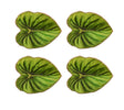 Tropicana Coasters in Green, Set of 4 in a Gift Box by Kim Seybert at Fig Linens and Home