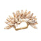 Shell Fringe Napkin Ring in Ivory & Brown by Kim Seybert at Fig Linens and Home