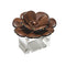 Begonia Napkin Ring in Brown & Gold by Kim Seybert at Fig Linens and Home