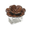 Begonia Napkin Ring in Brown & Gold by Kim Seybert at Fig Linens and Home