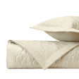 GLOBE Quilted Coverlet in Ivory by Home Treasures at Fig Linens and Home