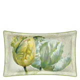 Designers Guild Spring Tulip Standard Sham 20 x 26”