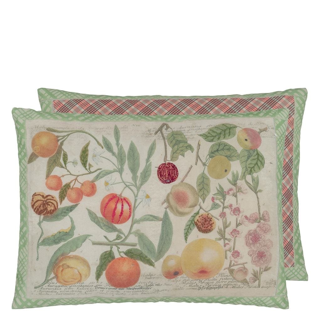 Oranges Canvas Decorative Pillow - John Derian - 1