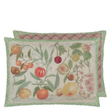 Oranges Canvas Decorative Pillow - John Derian - 1